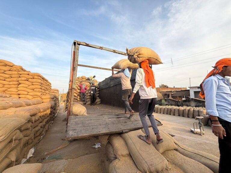 जिले में अब तक 42 लाख 68 हजार क्विंटल से अधिक धान खरीदी  27 लाख 62 हजार क्विंटल से अधिक धान का हुआ उठाव