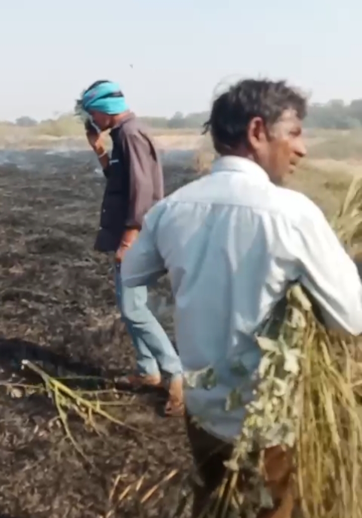 धान की फसल जलाकर किसानों को किया बर्बाद, बेमेतरा के ग्राम भरदा में न्याय की गुहार