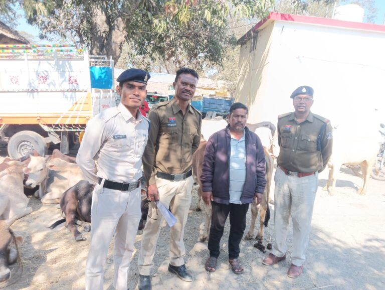 रायगढ़ पुलिस का “ऑपरेशन शंखनाद” जारी, 32 गौवंश तस्करों के चंगुल से कराए मुक्त