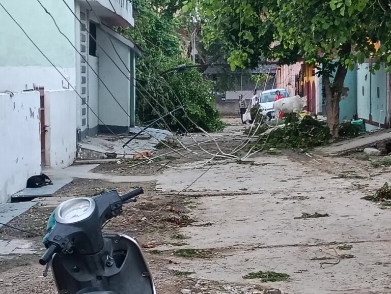 बिलासपुर: आंधी-तूफान ने कुशाभाऊ ठाकरे कॉलोनी में मचाई तबाही; बिजली गुल, व्यापारियों का भारी नुकसान