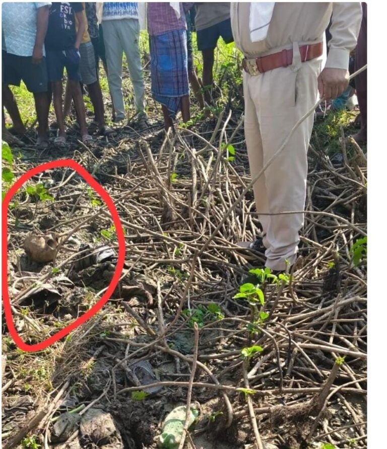 पंडरिया में नाली निर्माण के दौरान मिला नरमुंड, हत्या की आशंका, फॉरेंसिक जांच के लिए रायपुर भेजे जाएंगे अवशेष